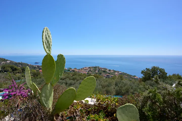 Luxury Villa Hermes-31